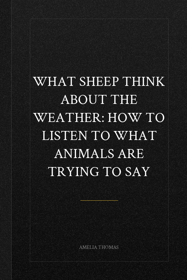 What Sheep Think About the Weather: How to Listen to What Animals Are Trying to Say