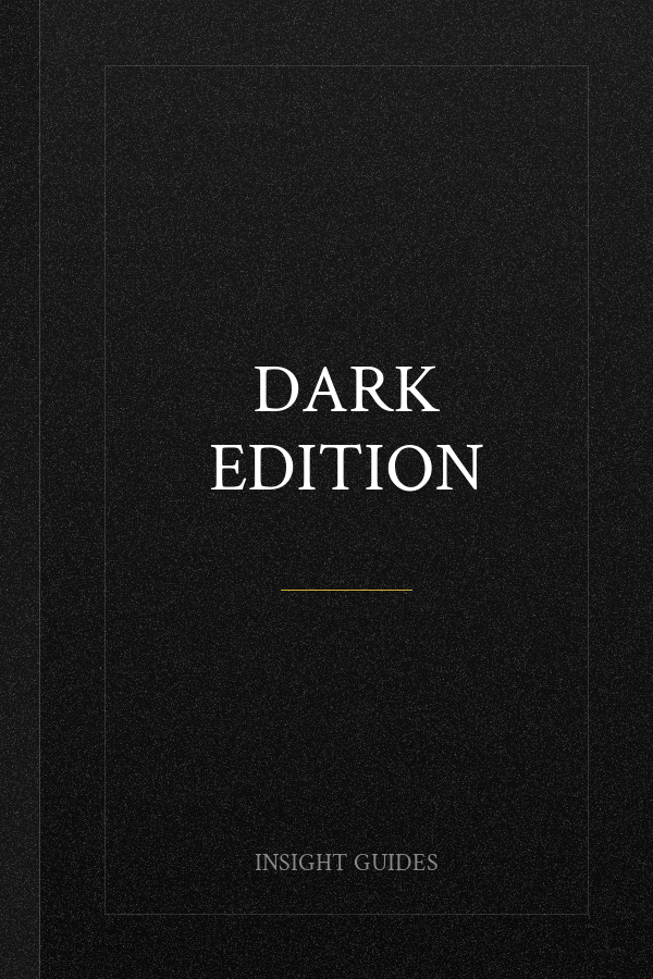 Insight Guides Cruising and Cruise Ships 2025: Cruise Guide with eBook (Insight Guides Cruise Guide)