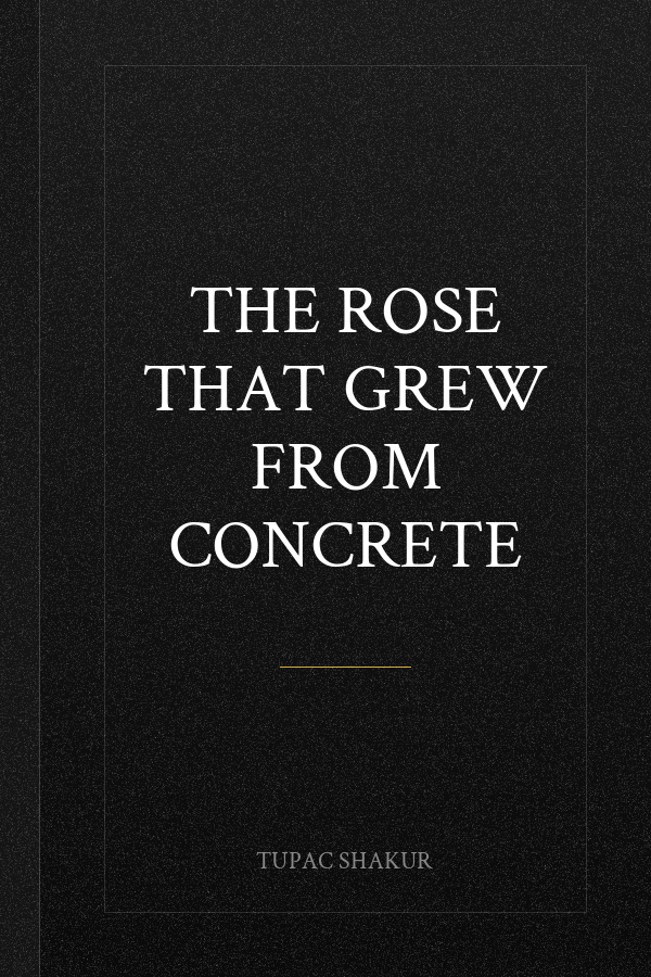 The Rose That Grew From Concrete