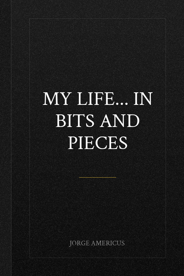 my life... in bits and pieces